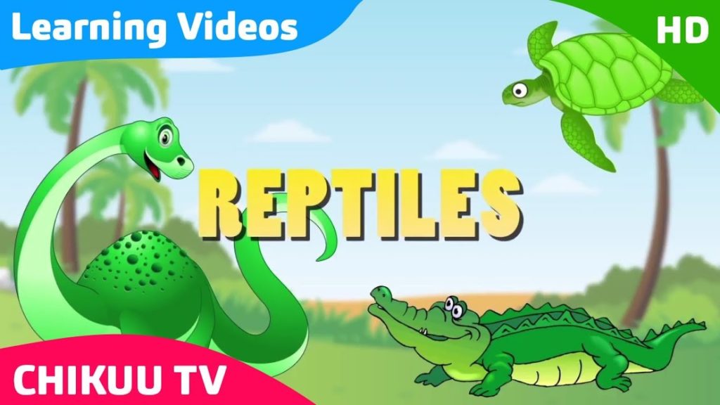 Learning About Reptiles | Learn Reptiles | Educational Video for Kids