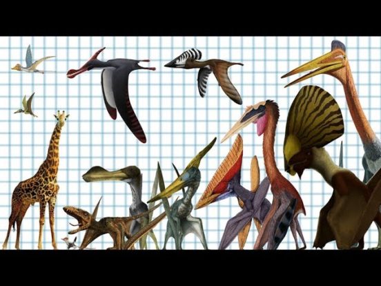 kinds of flying dinosaurs