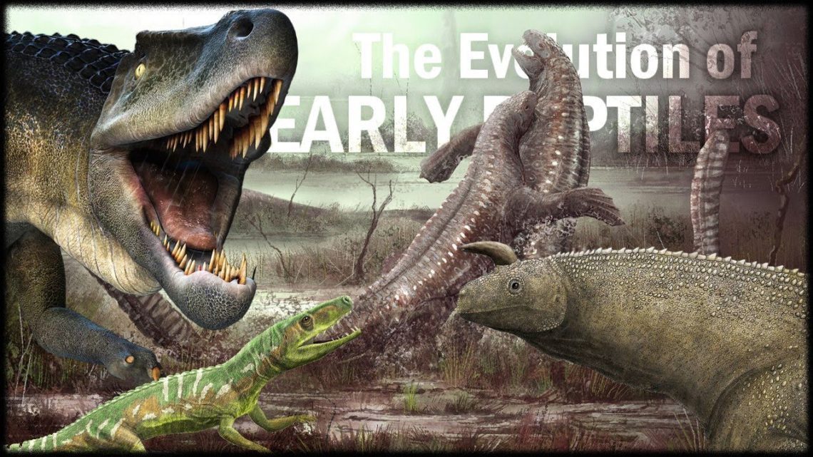 Evolution Of Early Reptiles Reptile Keeper