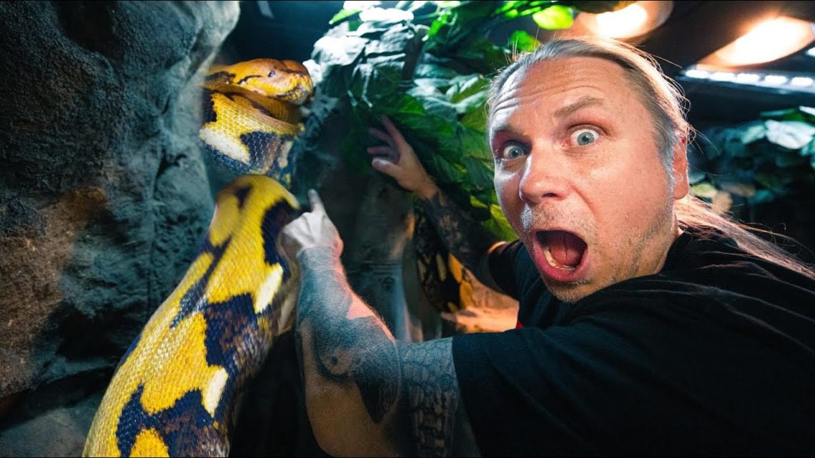 WHY IS MY 20 FOOT SNAKE (Lucy) IN A TREE?? | BRIAN BARCZYK – Reptile Keeper