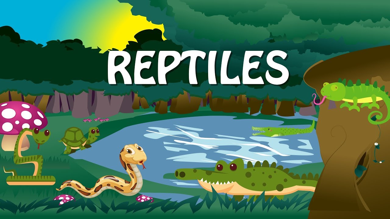 Let’s Learn About Reptiles | Educational Kids Video | All About ...