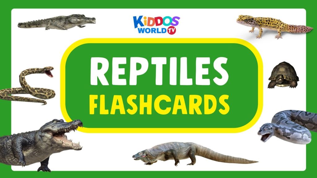 Reptiles Flashcards – Kinds of Reptiles for Kids – Learn Reptiles for