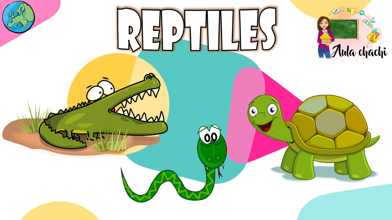 Reptiles – Animales Vertebrados | Aula Chachi – Vídeos Educativos Para ...